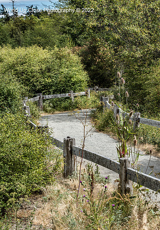 Beachside Path