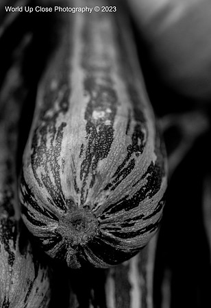 Warbled Pattern