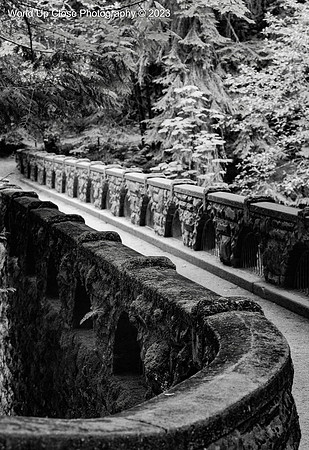 Whatcom Falls