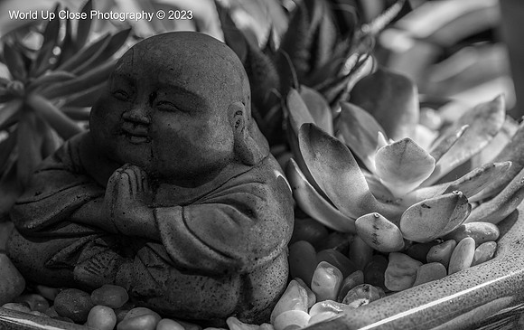 Little Buddha