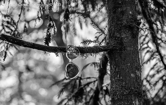 Left Behind