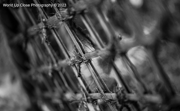 Japanese Fence