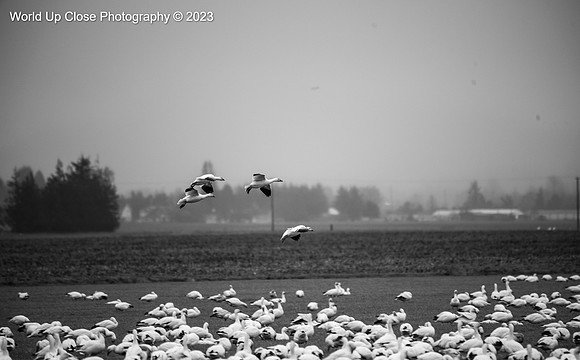 Landing