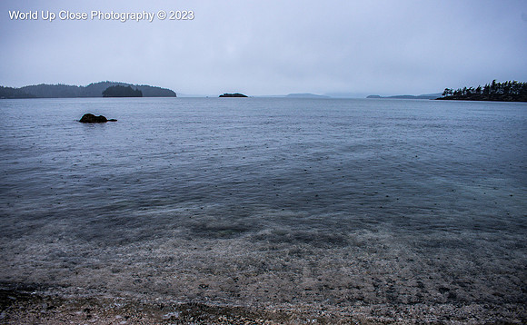 Rain Hits the Water