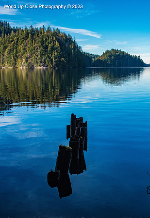 Distant Island