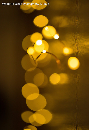 Soft Lights