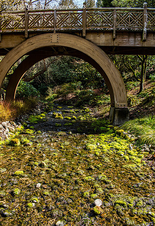 Under the Bridge
