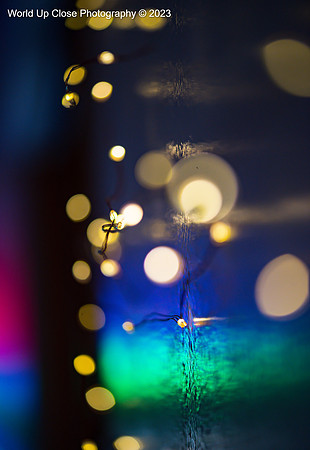 Boceh Lights