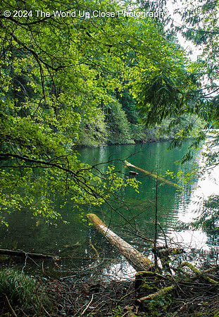 Emerald Lake