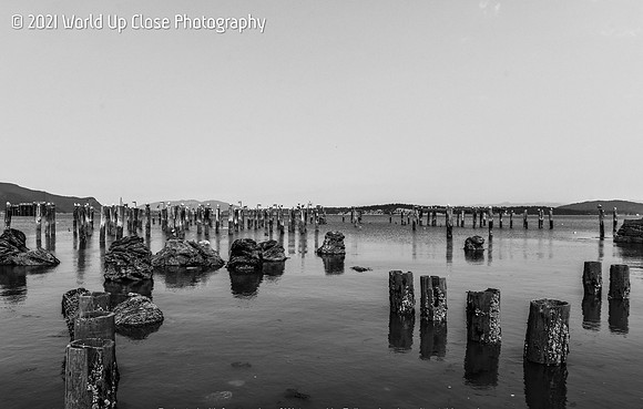 Of Barnacles and Beaches