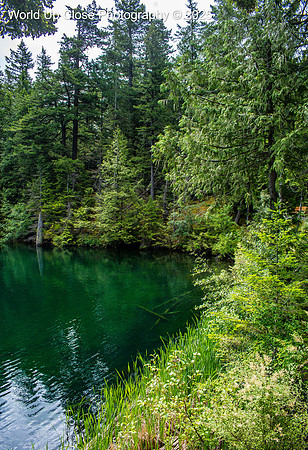 Emerald Waters