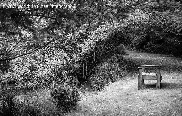 Bench by the Lake