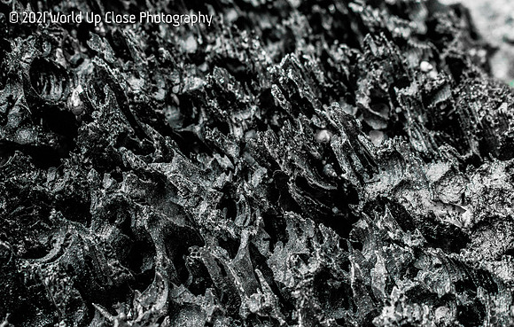 Weathered Wood