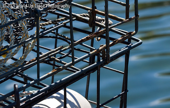 Crab Pots