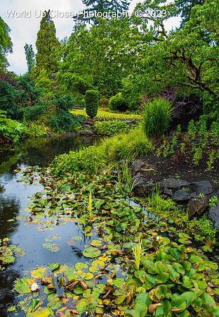BC Garden