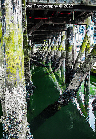 Below the Dock