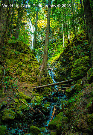 Cascading into the Green