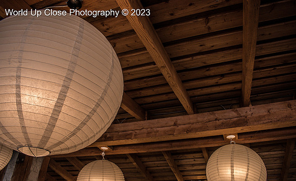 Illuminated by Lantern