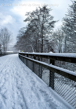 Snow Day