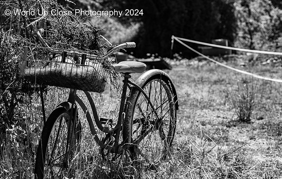 Abandoned Bike