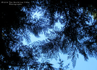 Against the Blue