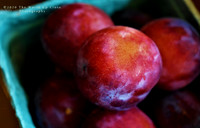 Fresh Plums