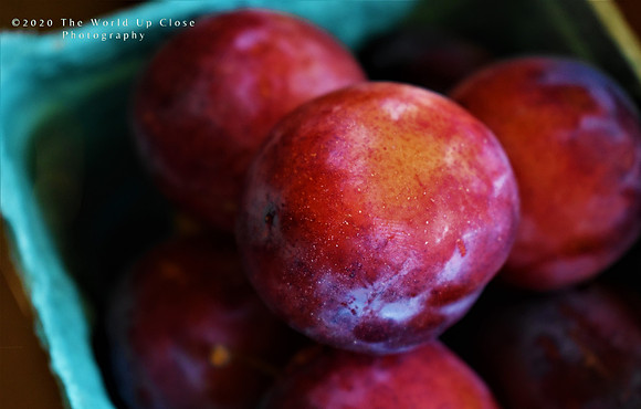 Fresh Plums