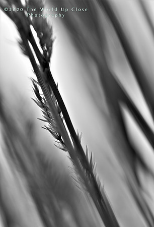 Upwards