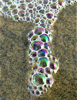 Bright Bubbles