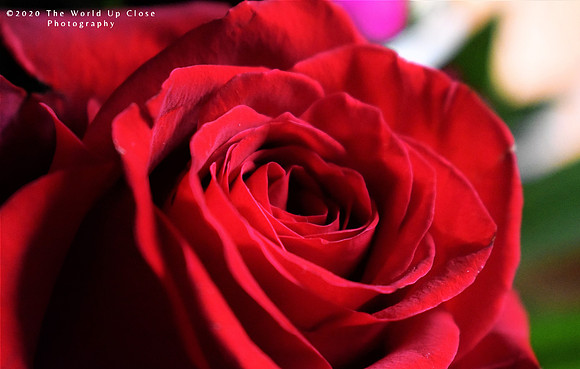 Crimson