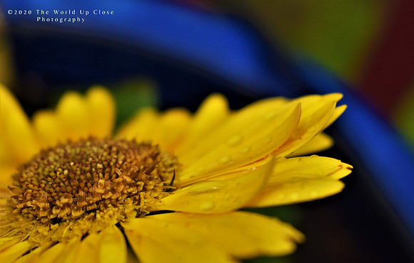 Hope