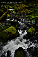 Rushing River