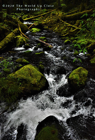 Rushing River