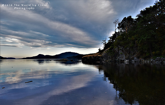 The Cove