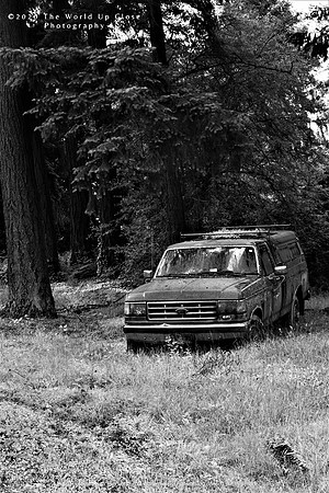 Forgotten