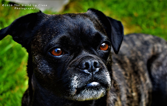 Wary