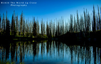 Evening Reflection