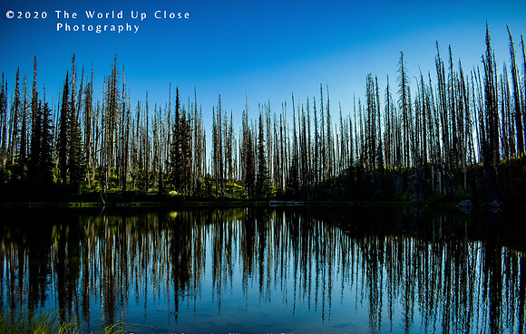 Evening Reflection