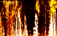 Liquid Fire