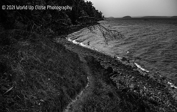 Beach Trail