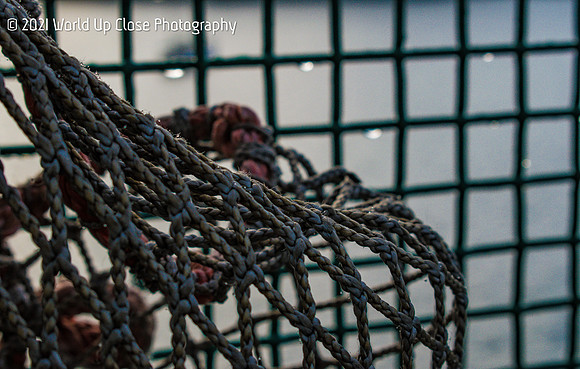 Ferry Ropes