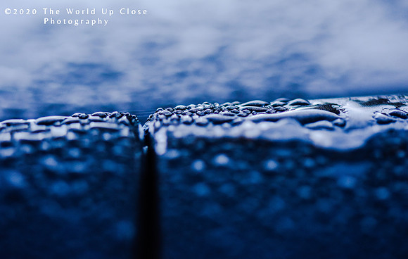Dewdrops