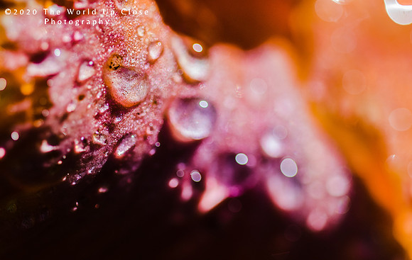 Rubies and Diamonds