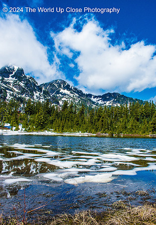 June Snow