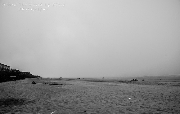 Quiet Day