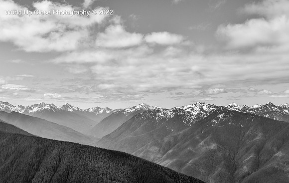 Hurricane Ridge