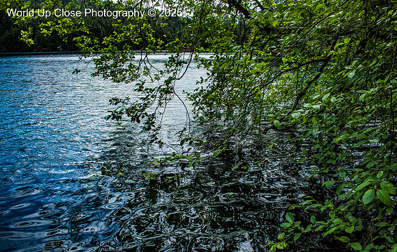Puzzling Ripples