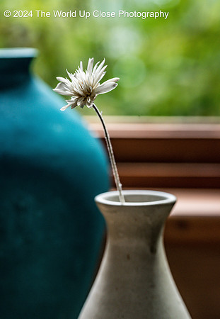 Windowsill Pottery