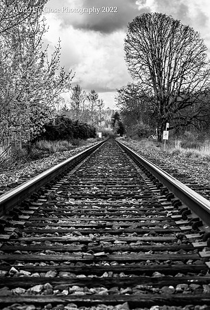 Along the Tracks