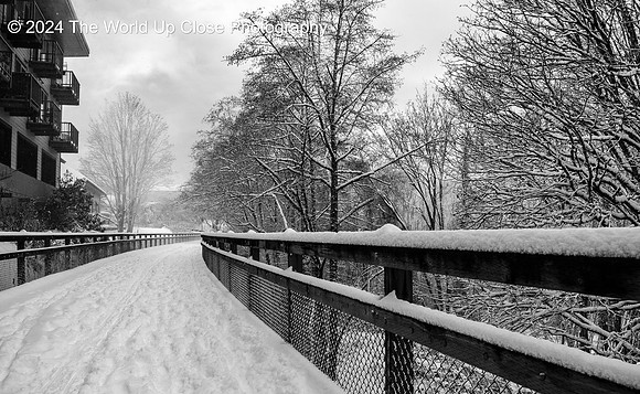 Wintry Path